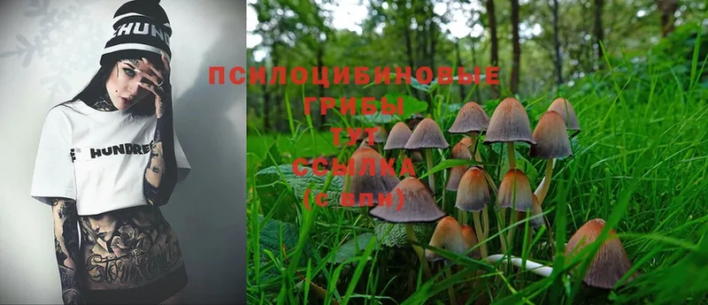 Псилоцибиновые грибы Magic Shrooms  где продают наркотики  МЕГА маркетплейс  Верхний Уфалей 